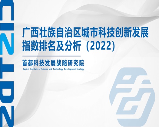 日婊子的逼【成果发布】广西壮族自治区城市科技创新发展指数排名及分析（2022）